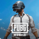 PUBG MOBILE国际服官方服