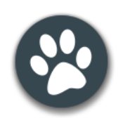 兽音译者官网版